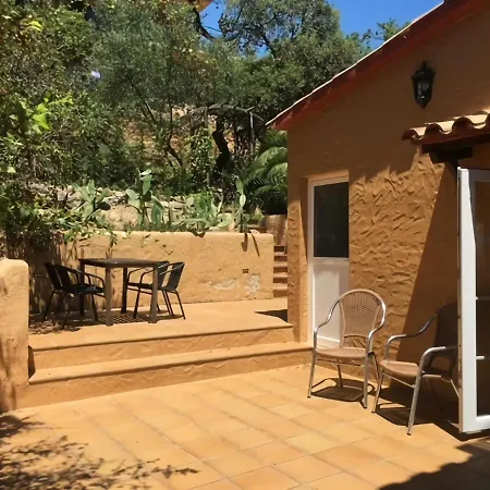 Plush In Platja D Aro Catalonia With Pool Villa